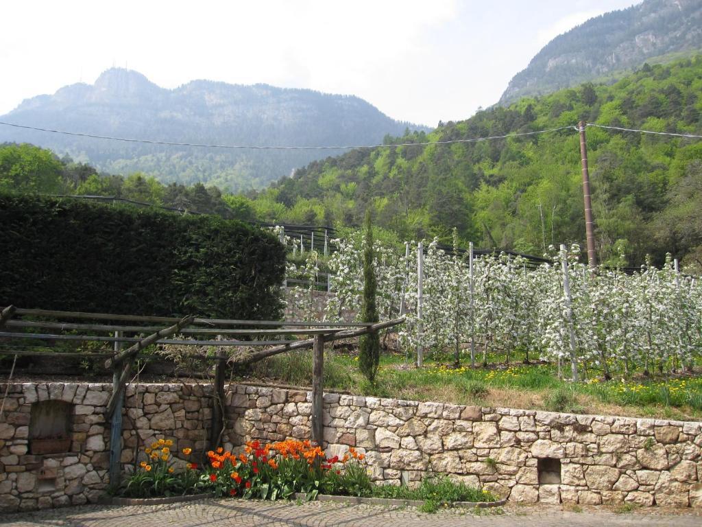 Schloss-Hof Appiano Sulla Strada Del Vino Habitación foto